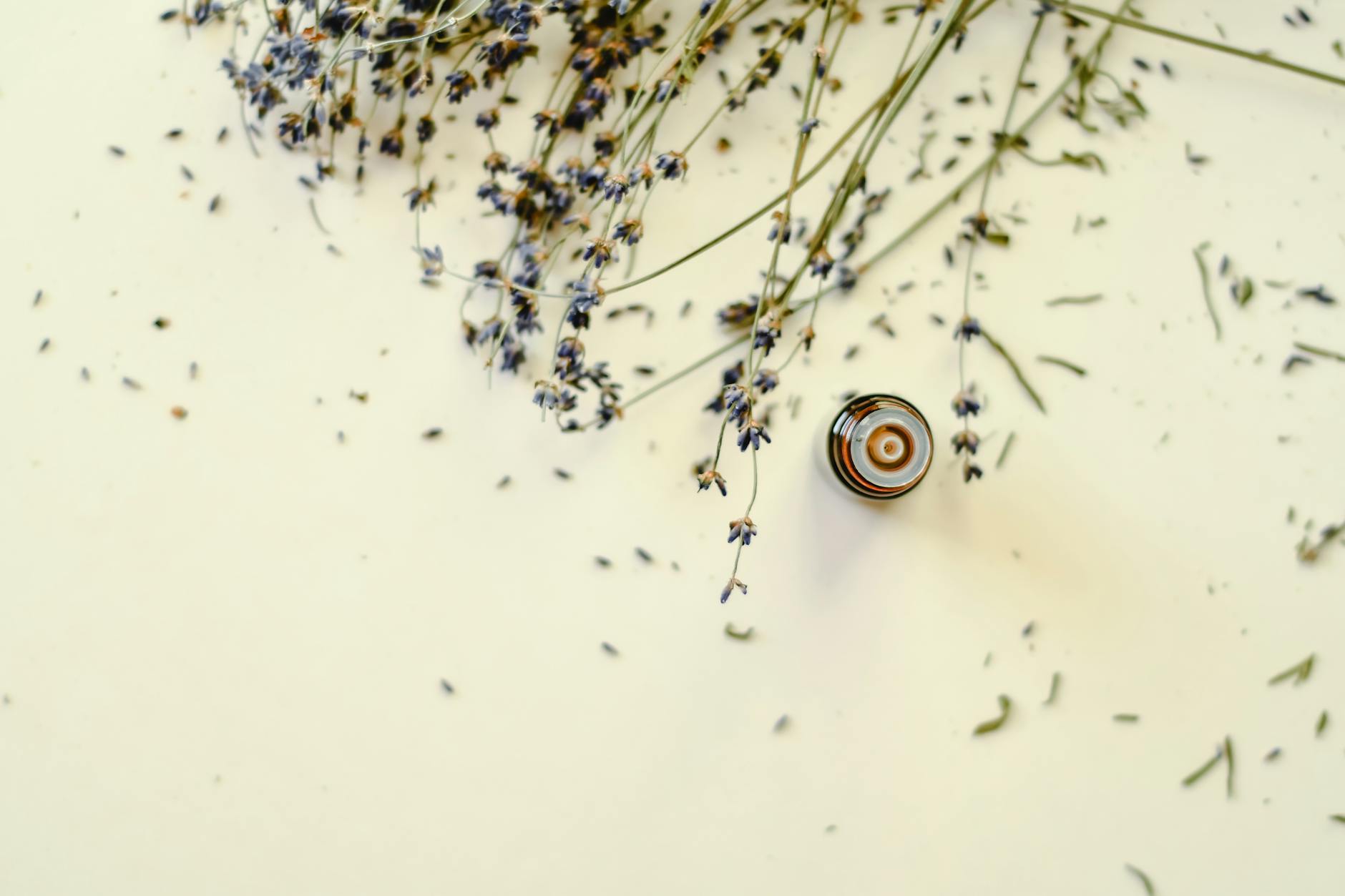 Plant Therapy Lavender Essential Oil